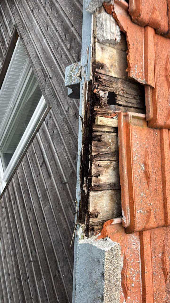 240697ce 36b6 420c 87ee 503b61b838f1