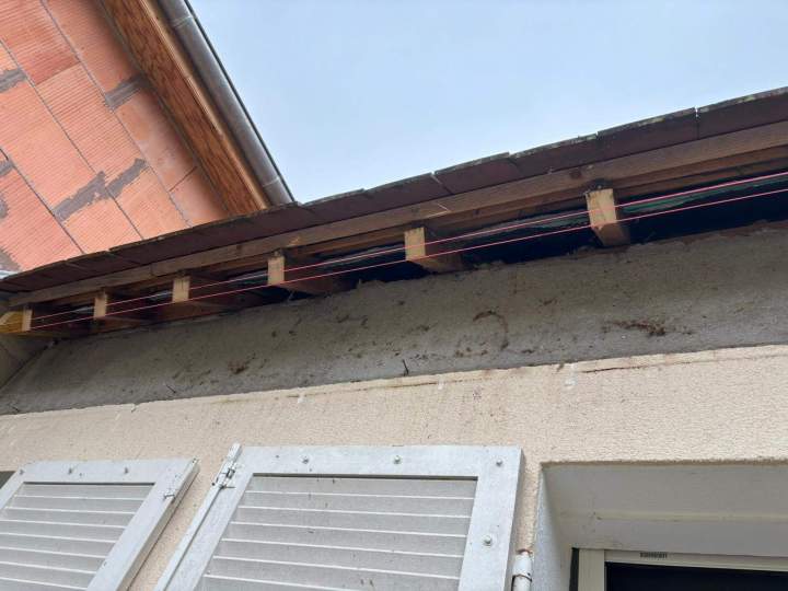 325C9584 A0A5 4E3A AE7D D69CEF4EEA2E