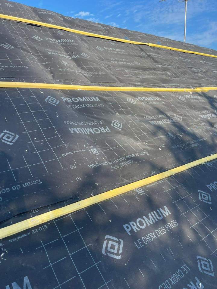 38d77a06 a7e4 458a 9cb9 3db1d819544a