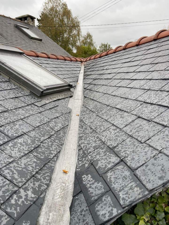 5677bf69 81a1 4fb2 aa98 4041a69cd960