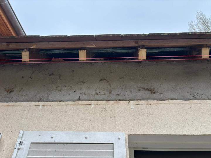 56E7FA58 AED9 411A 99A8 063A600F858C