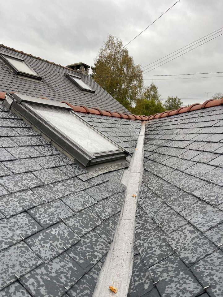 7ebf4aaf 20e9 464b 8749 3847f5f289a1