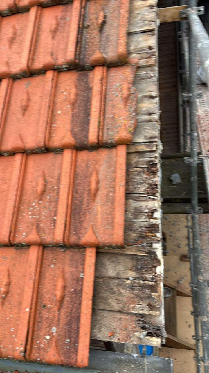 88c63d0c 2b13 4d8e 9e25 aec75366a619