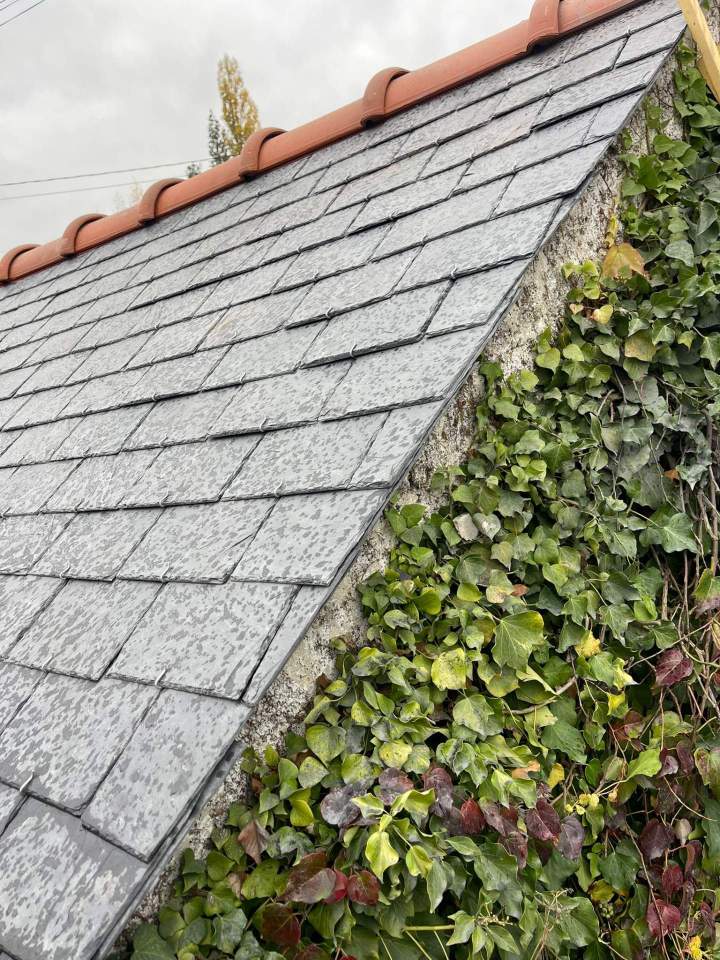 9a384ff0 b9e5 47bb b247 47a88e11ee9a