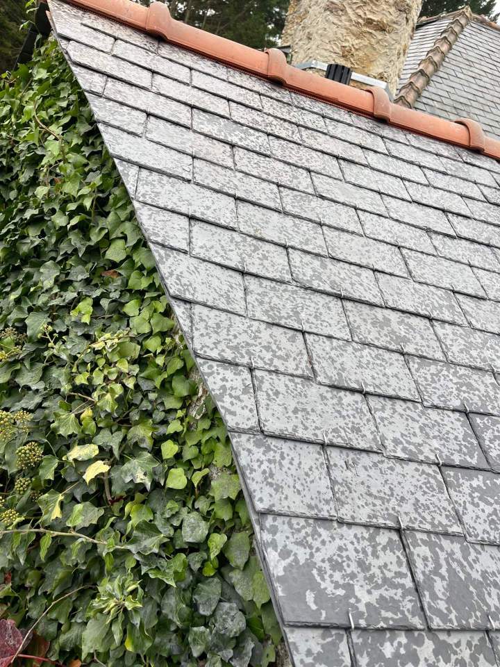 cd19875c 697e 4c16 a62e c55d99b764de