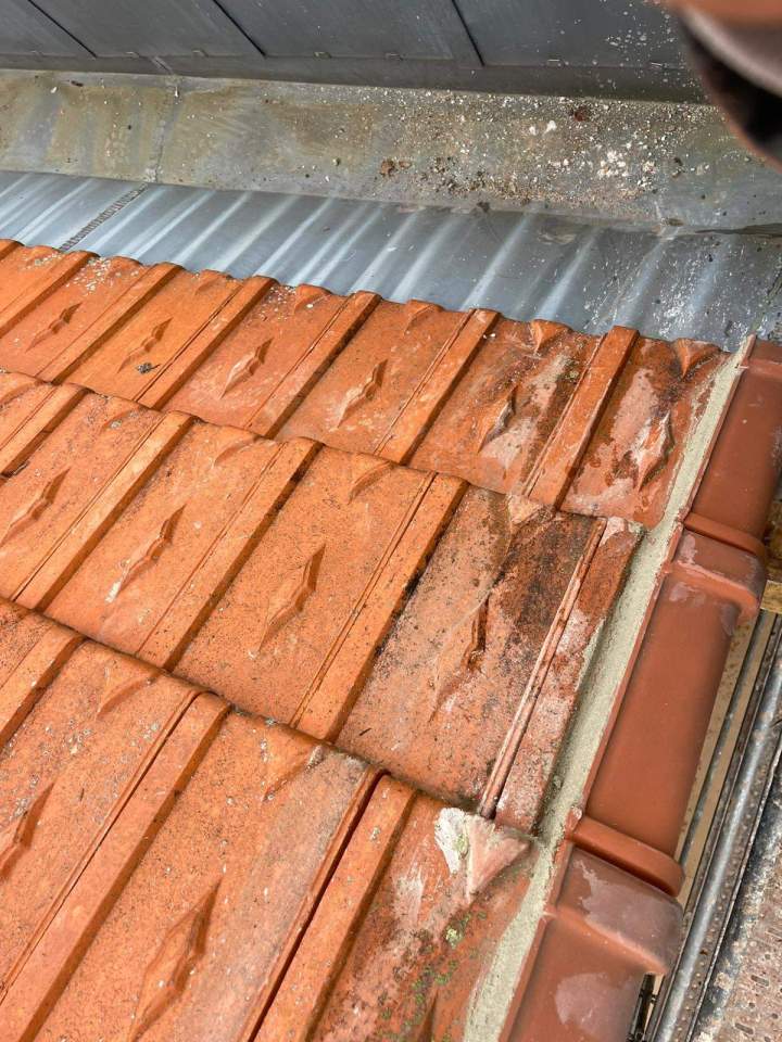 dc23b686 fada 419d b4f5 74c0e8b7602f